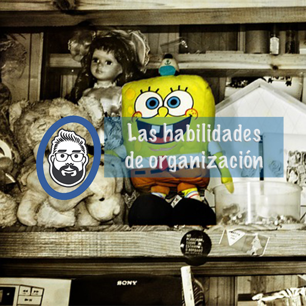 sistemas de organización